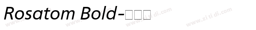 Rosatom Bold字体转换